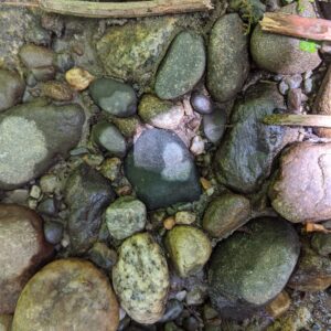 A Love Note From the River