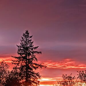 I Watched the Sky Catch Fire