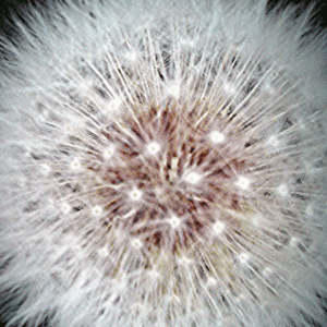 Reflections of an Intricate Mind